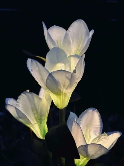 VIAMAJA Magnolia med solceller - Hvid Clearance