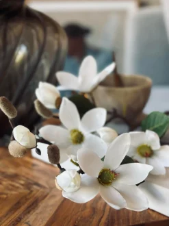 VIAMAJA Magnoliagren - 52cm New