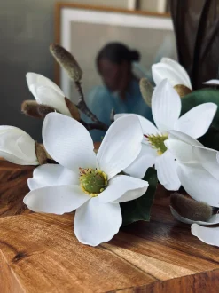 VIAMAJA Magnoliagren - 52cm New