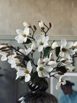 VIAMAJA Magnoliagren - 52cm New
