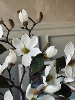 VIAMAJA Magnoliagren - 52cm New