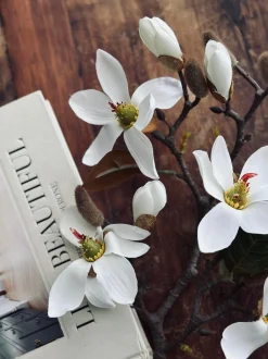 VIAMAJA Magnoliagren - 52cm New