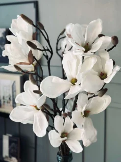 VIAMAJA Magnoliagren - 92cm Outlet