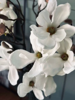 VIAMAJA Magnoliagren - 92cm Outlet
