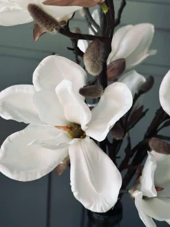 VIAMAJA Magnoliagren - 92cm Outlet