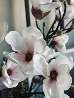 VIAMAJA Magnoliagren - Pink 52cm Best