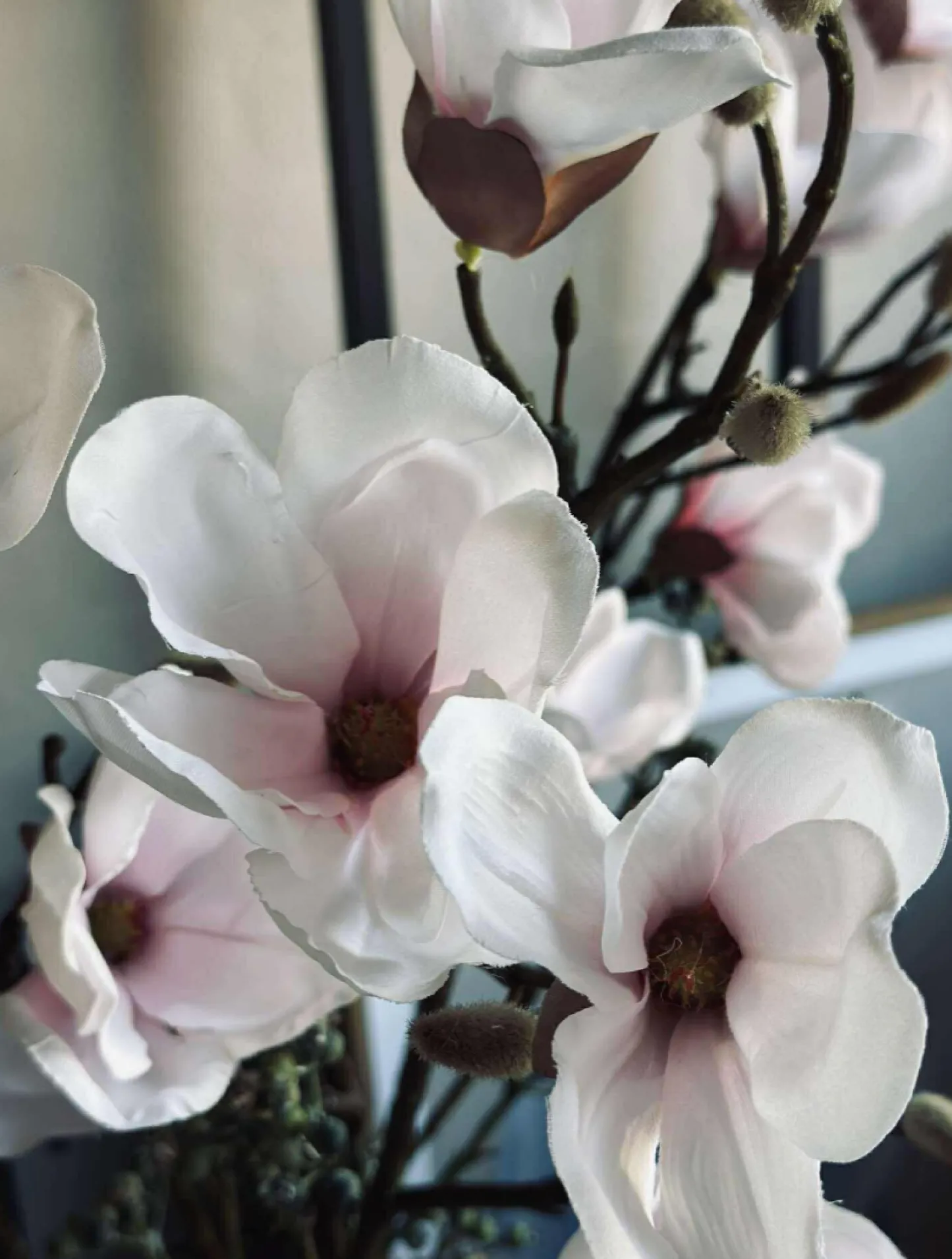 VIAMAJA Magnoliagren - Pink 52cm Best