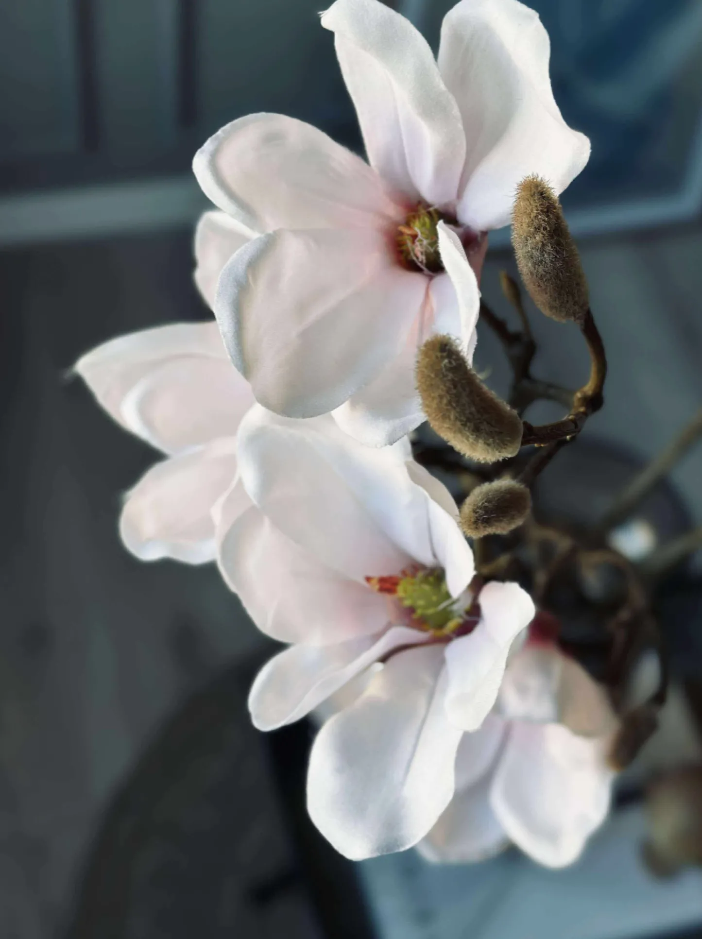 VIAMAJA Magnoliagren - Pink 52cm Best