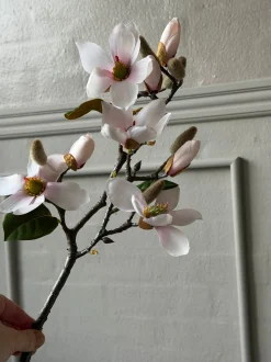 VIAMAJA Magnoliagren - Pink 52cm Best