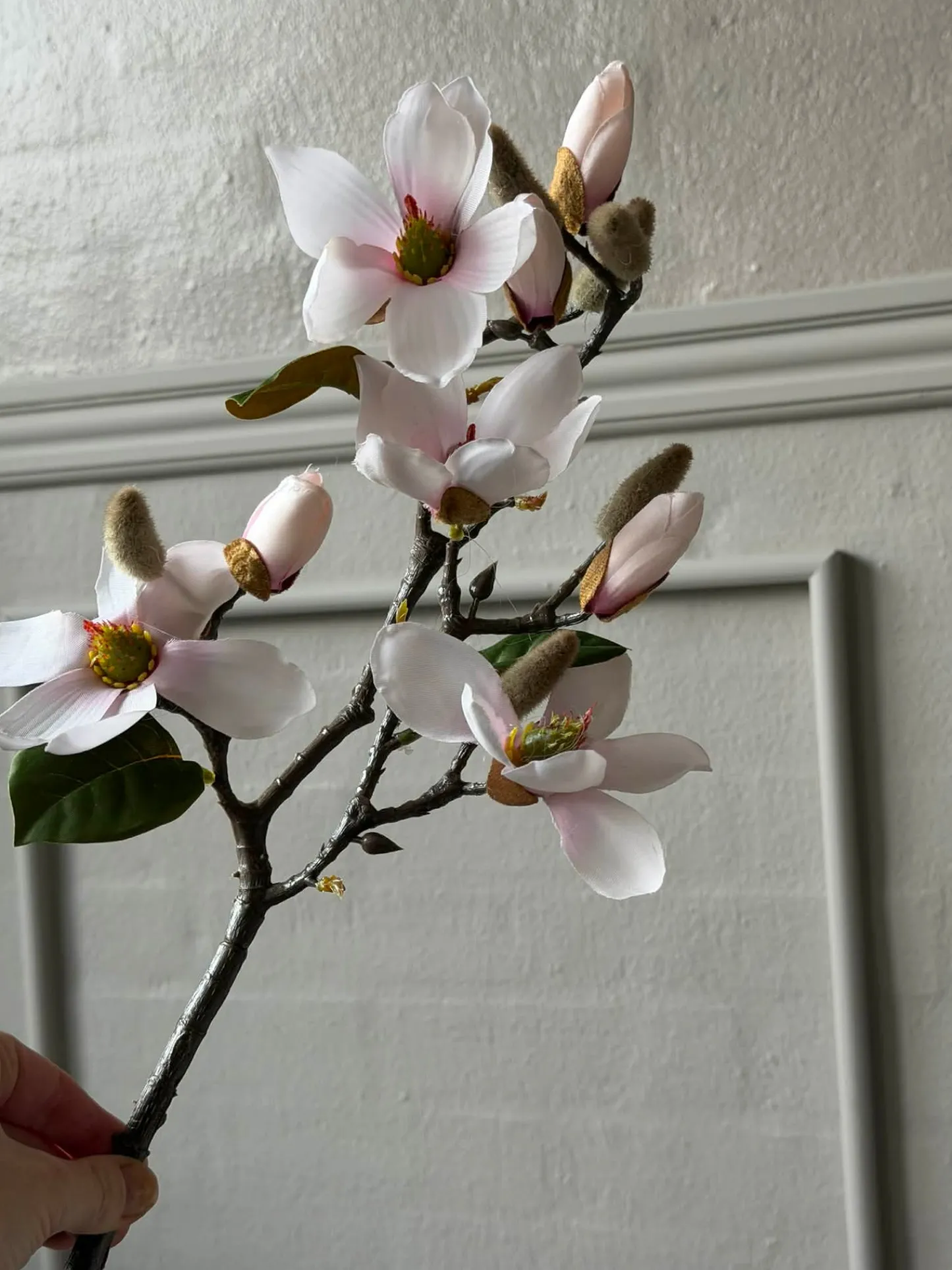 VIAMAJA Magnoliagren - Pink 52cm Best
