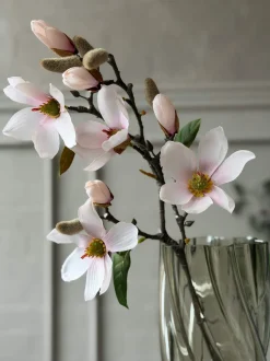 VIAMAJA Magnoliagren - Pink 52cm Best