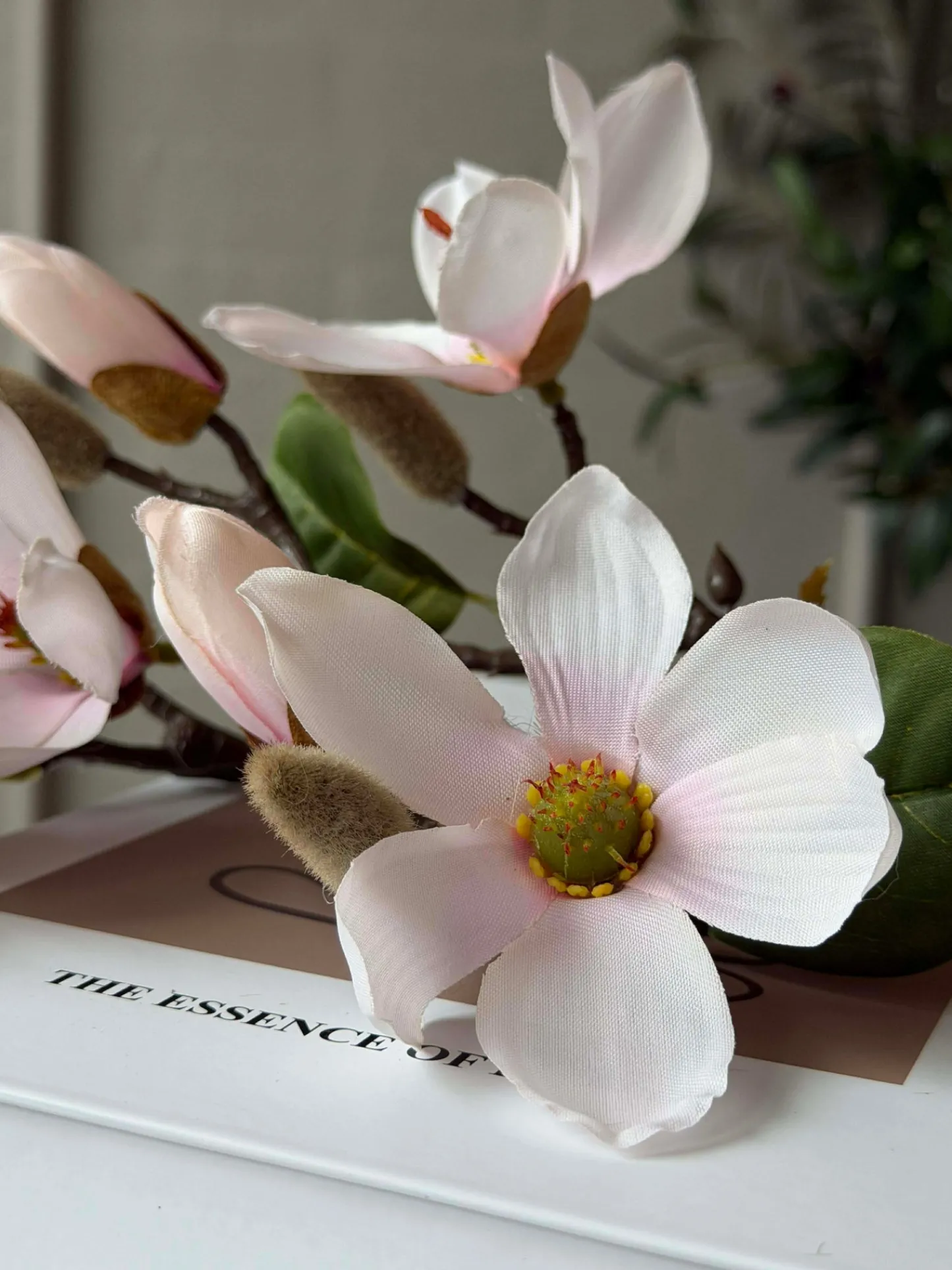 VIAMAJA Magnoliagren - Pink 52cm Best