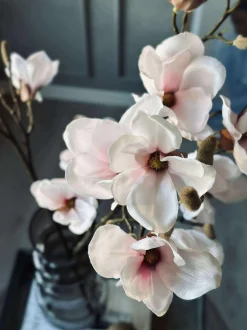 VIAMAJA Magnoliagren pink - 92cm Best
