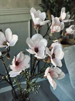 VIAMAJA Magnoliagren pink - 92cm Best
