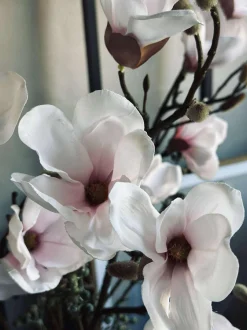VIAMAJA Magnoliagren pink - 92cm Best