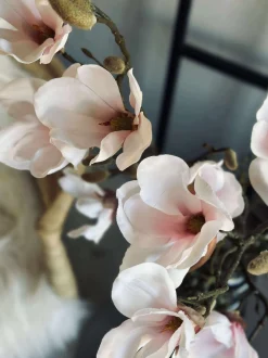 VIAMAJA Magnoliagren pink - 92cm Best