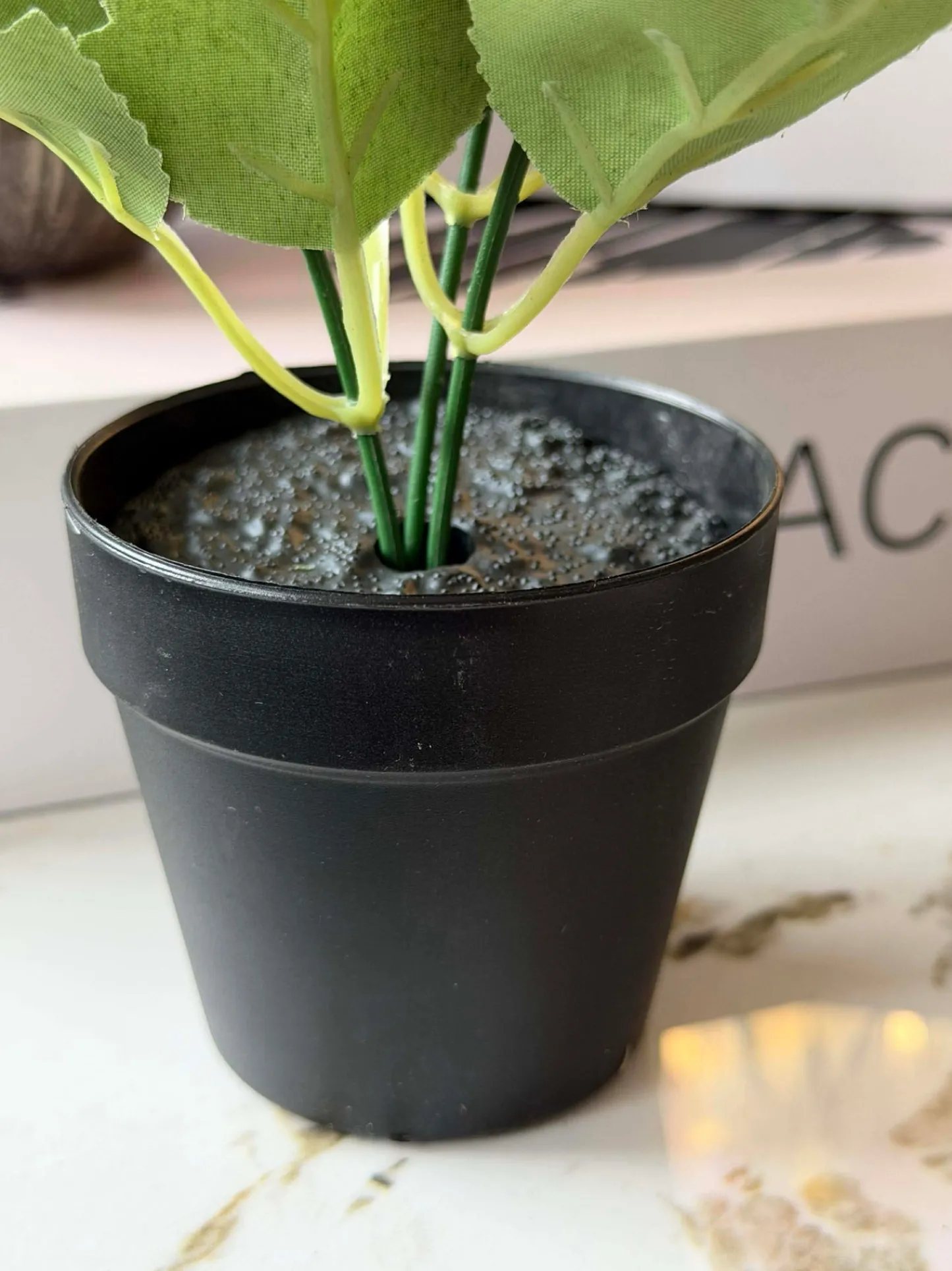 VIAMAJA Mini hortensia i potte - flere farver Online