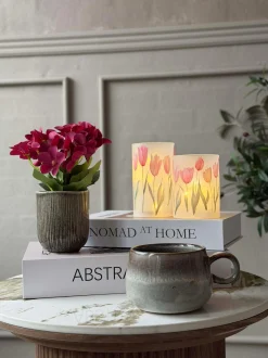 VIAMAJA Mini hortensia i potte - flere farver Online