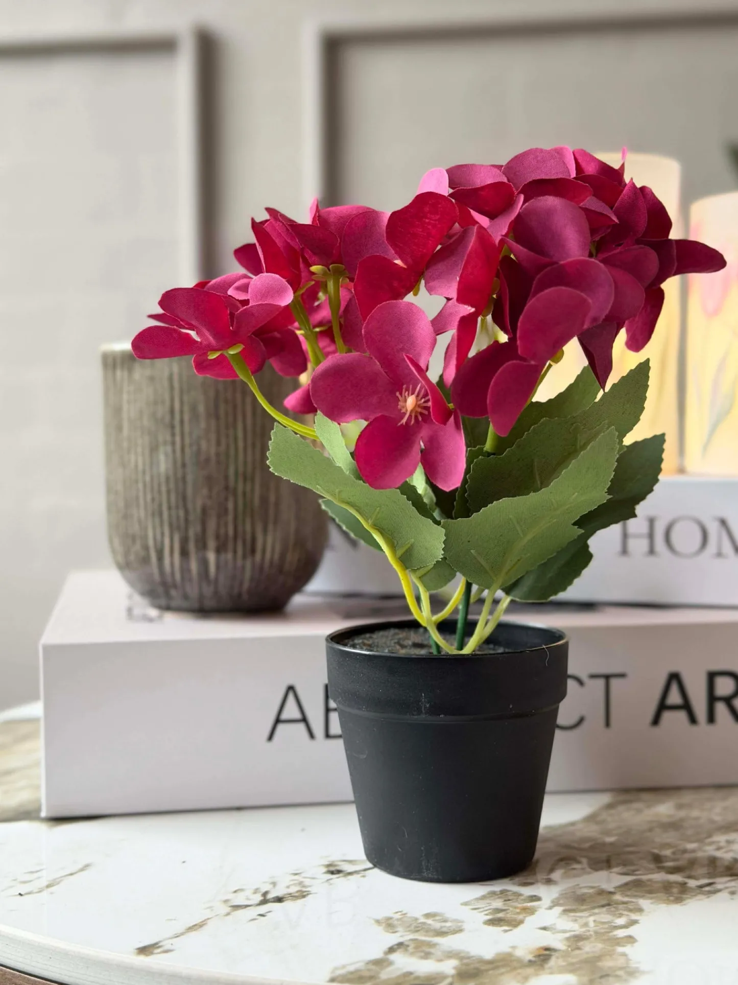VIAMAJA Mini hortensia i potte - flere farver Online