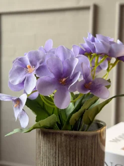 VIAMAJA Mini hortensia i potte - flere farver Online