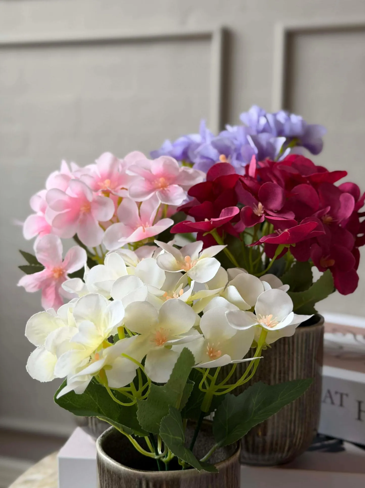 VIAMAJA Mini hortensia i potte - flere farver Online