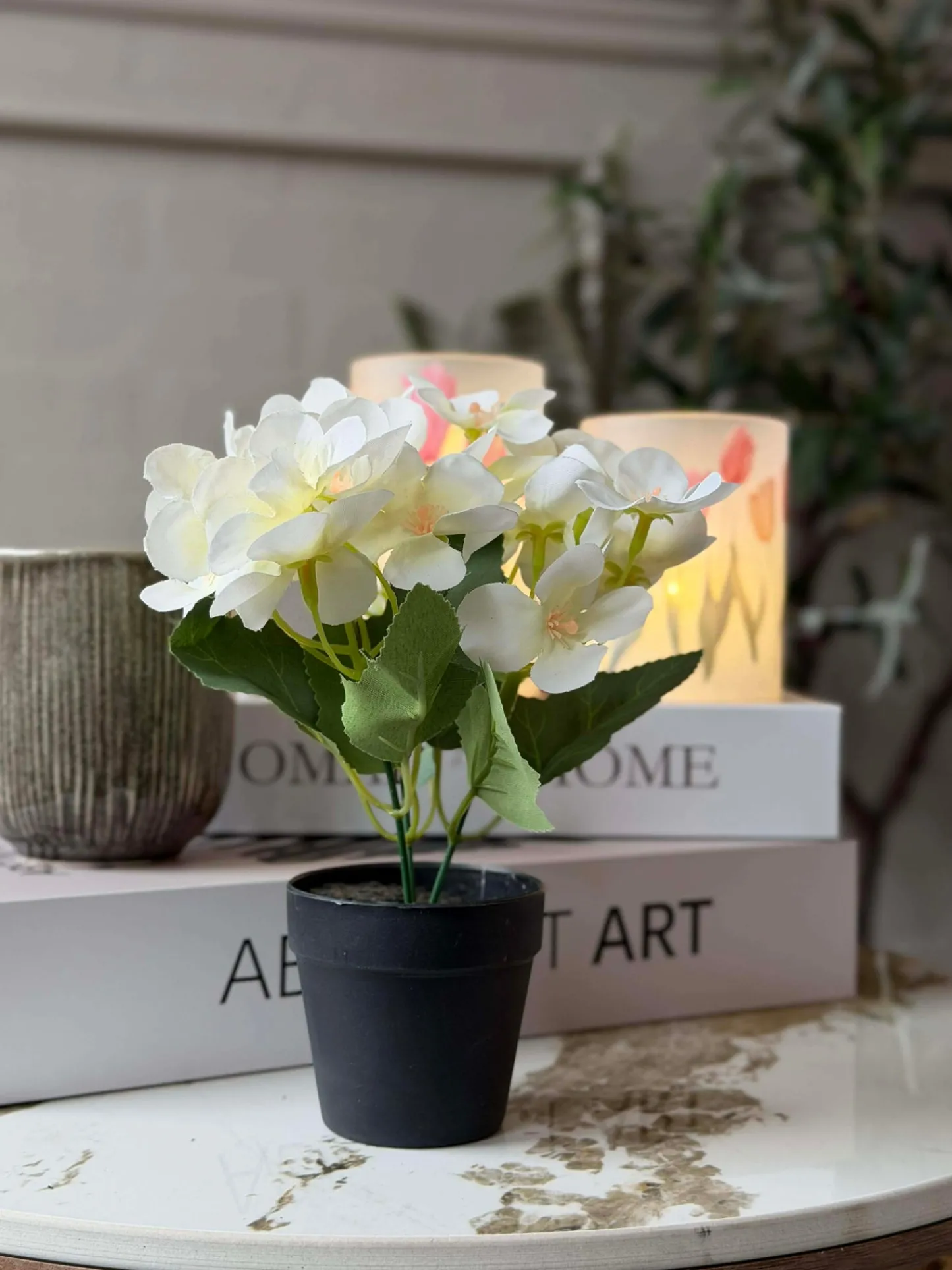 VIAMAJA Mini hortensia i potte - flere farver Online