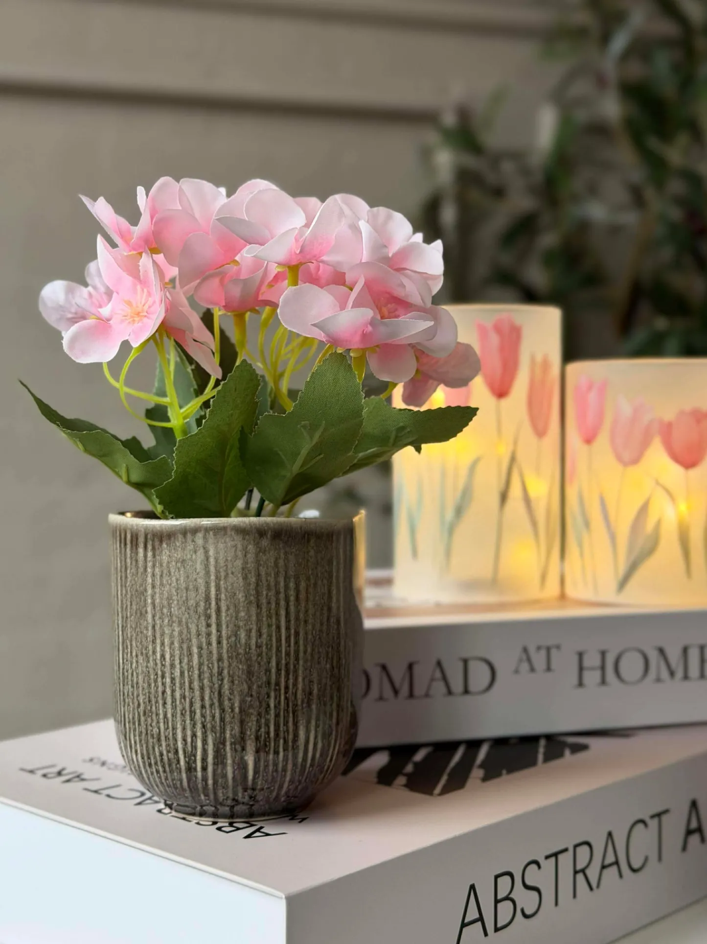 VIAMAJA Mini hortensia i potte - flere farver Online