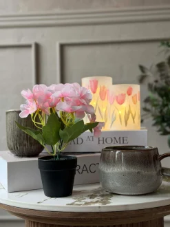 VIAMAJA Mini hortensia i potte - flere farver Online