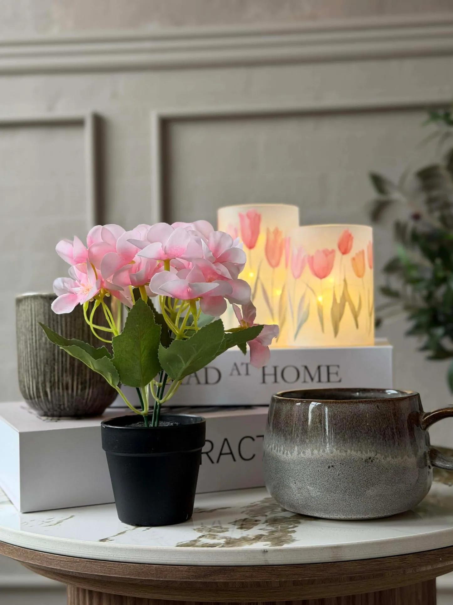 VIAMAJA Mini hortensia i potte - flere farver Online