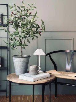 VIAMAJA Oliventræ 85cm Discount