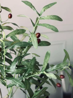 VIAMAJA Oliventræ 85cm Discount