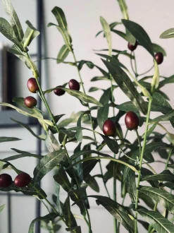 VIAMAJA Oliventræ 85cm Discount