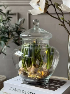 VIAMAJA Opbevaringsglas med låg Discount