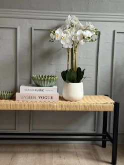 VIAMAJA Orkidé i Potte 65 cm - Hvid Sale