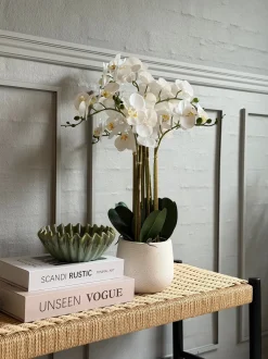 VIAMAJA Orkidé i Potte 65 cm - Hvid Sale