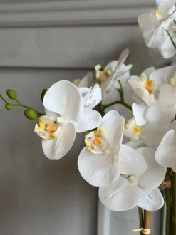 VIAMAJA Orkidé i Potte 65 cm - Hvid Sale