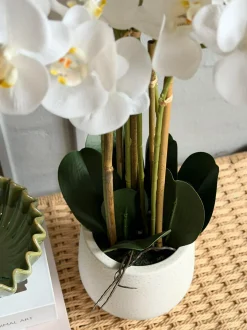 VIAMAJA Orkidé i Potte 65 cm - Hvid Sale