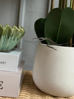 VIAMAJA Orkidé i Potte 65 cm - Hvid Sale