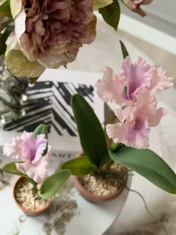 VIAMAJA Orkidé i Potte Rosa - Flere størrelser Best