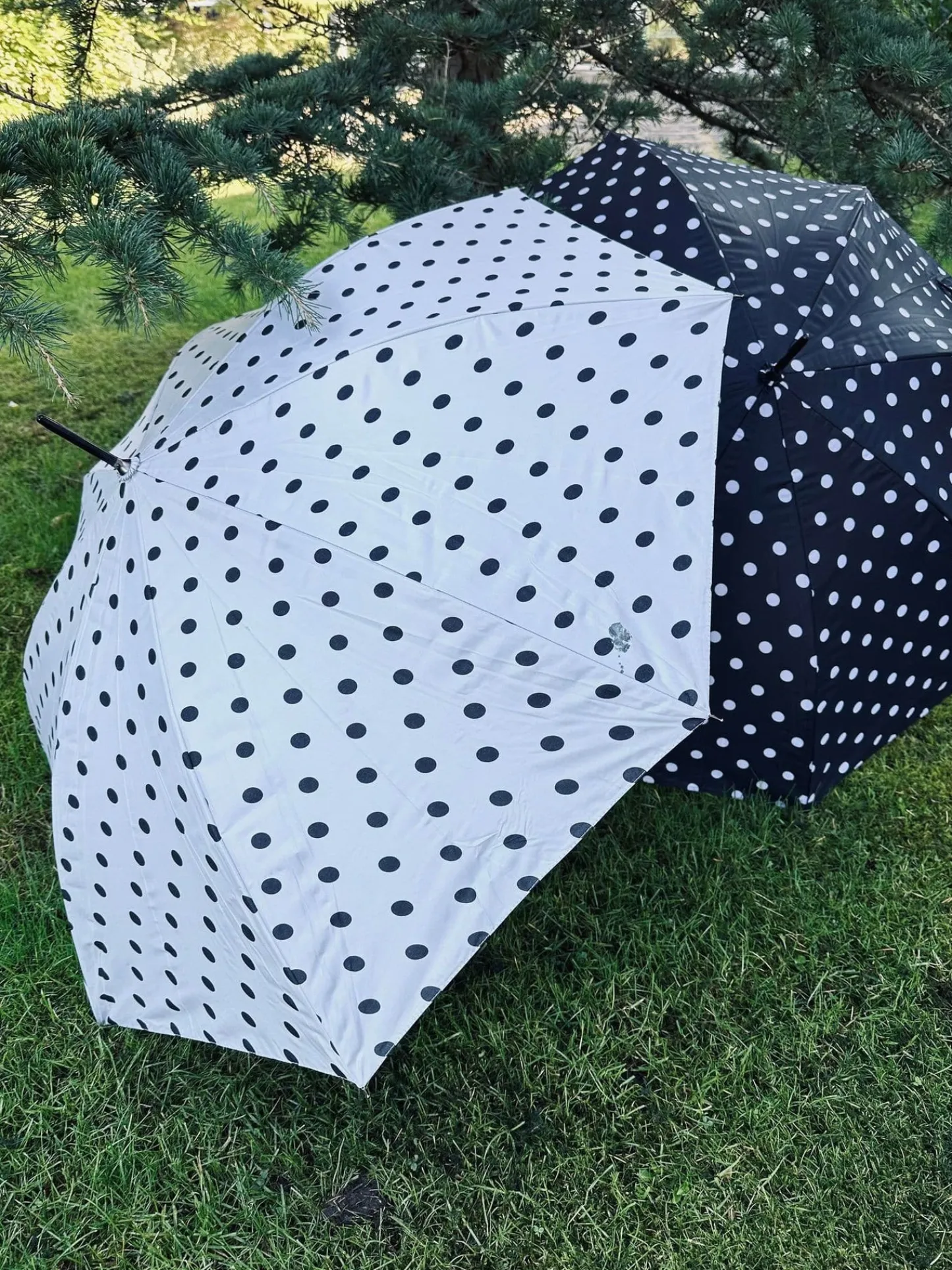 VIAMAJA Paraply - Hvid med dots Outlet