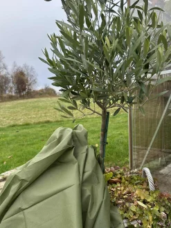 VIAMAJA Plantebeskyttelse - 10 meter Discount
