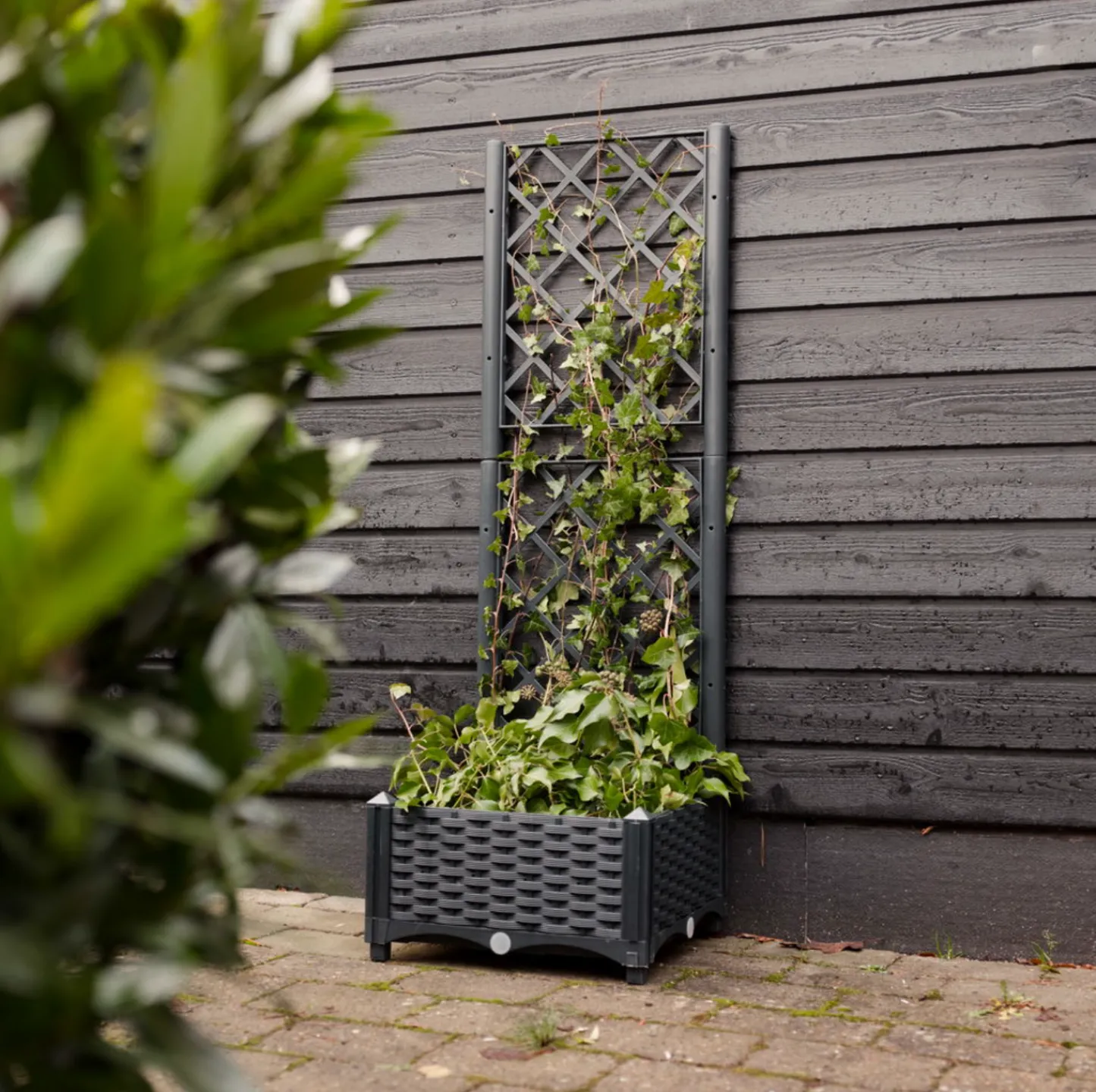 VIAMAJA Plantekasse med espalier New