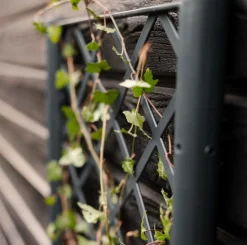 VIAMAJA Plantekasse med espalier New