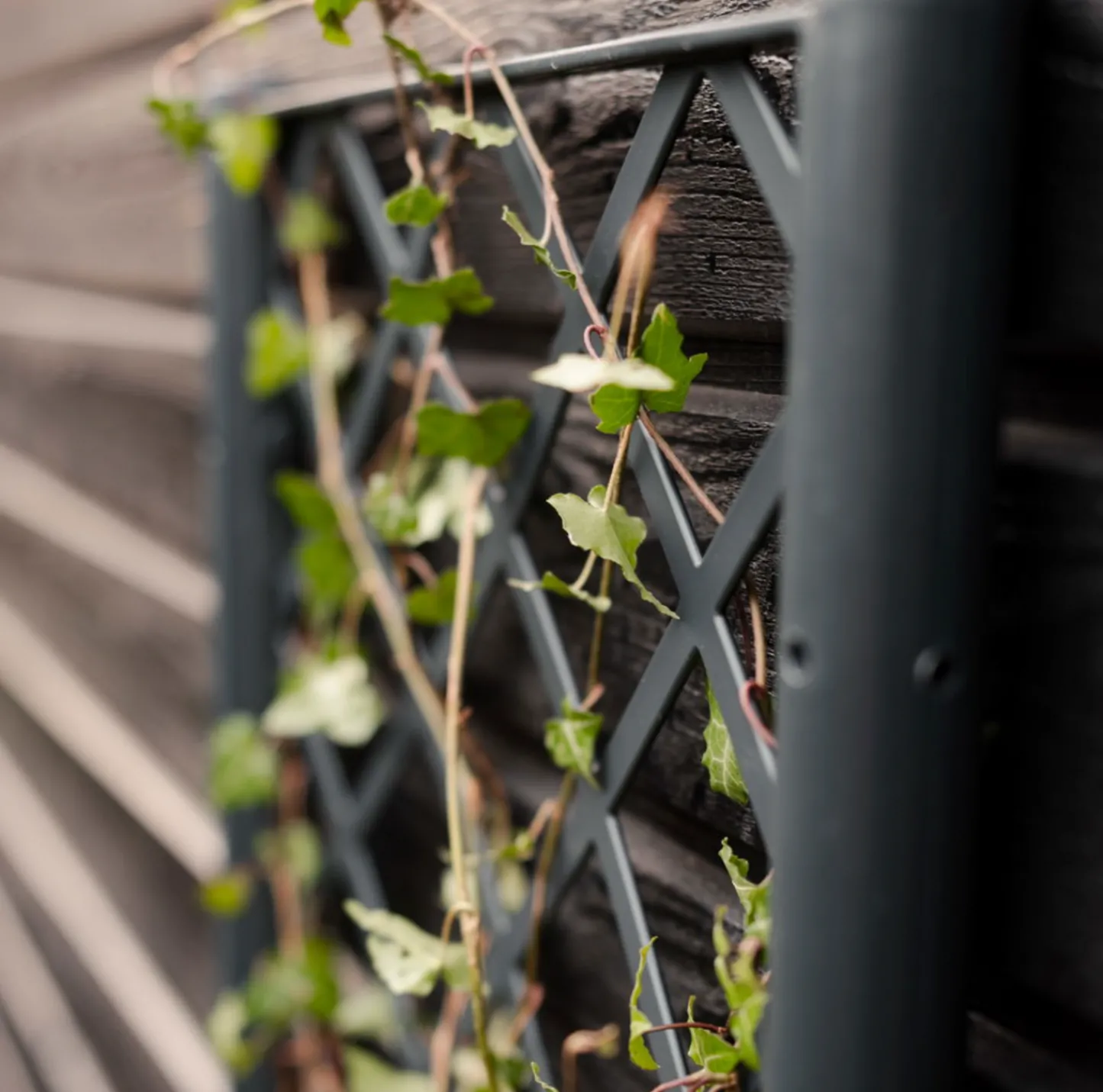 VIAMAJA Plantekasse med espalier New