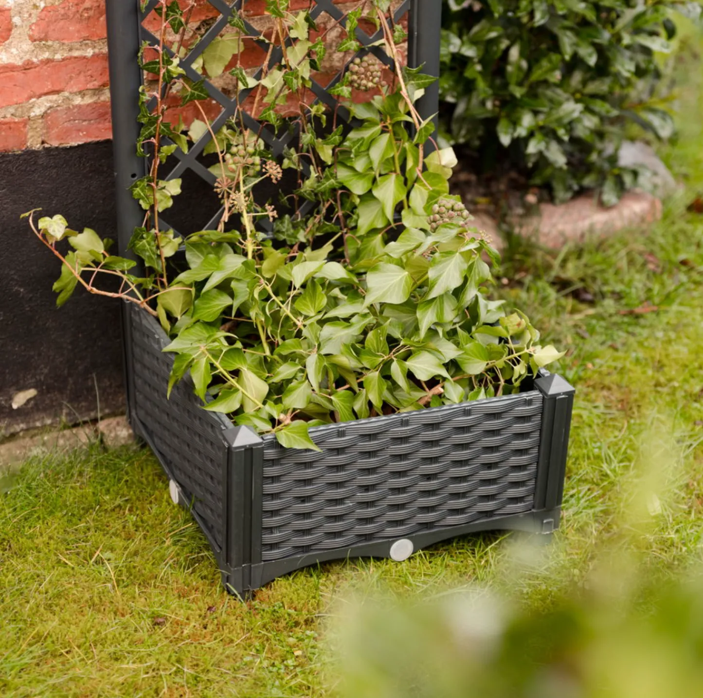 VIAMAJA Plantekasse med espalier New