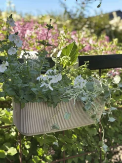 VIAMAJA Plantekasse med ophæng – Creme New