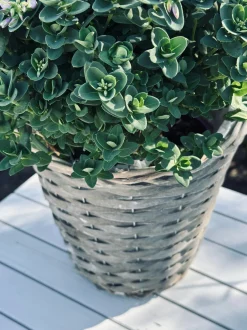 VIAMAJA Plantekurv 20 cm Sale