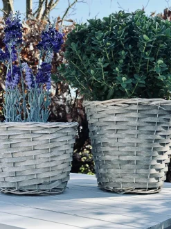 VIAMAJA Plantekurv 15 cm Discount