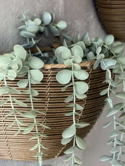 VIAMAJA Plantekurv Rattan