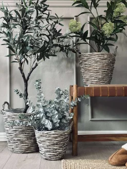 VIAMAJA Plantekurve – Sæt med 3 størrelser Outlet
